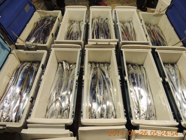 DSCN5893.jpg