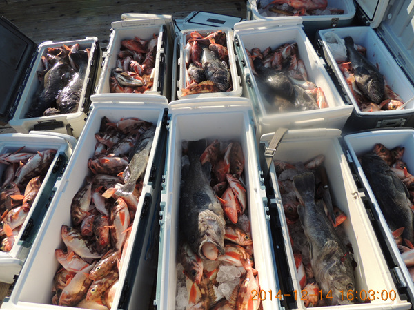 DSCN6816.jpg